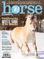 Horse Illustrated